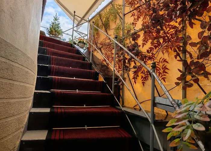 Orange Center Guest house 3*