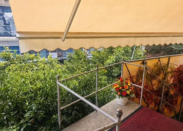 Orange Center Guest house 3*