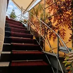 Orange Center Guest house 3*